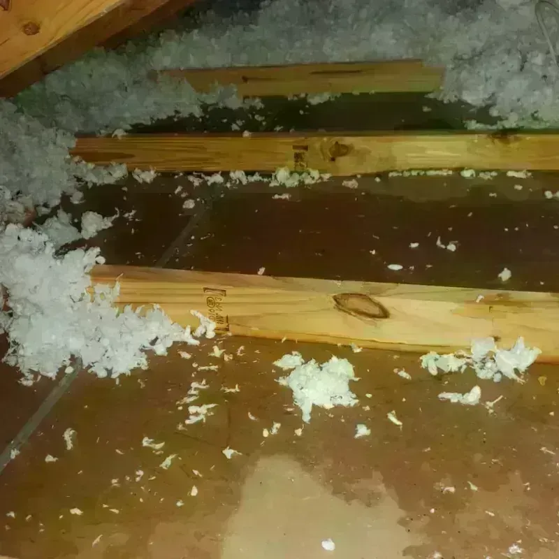 Attic Water Damage in Pocahontas County, IA